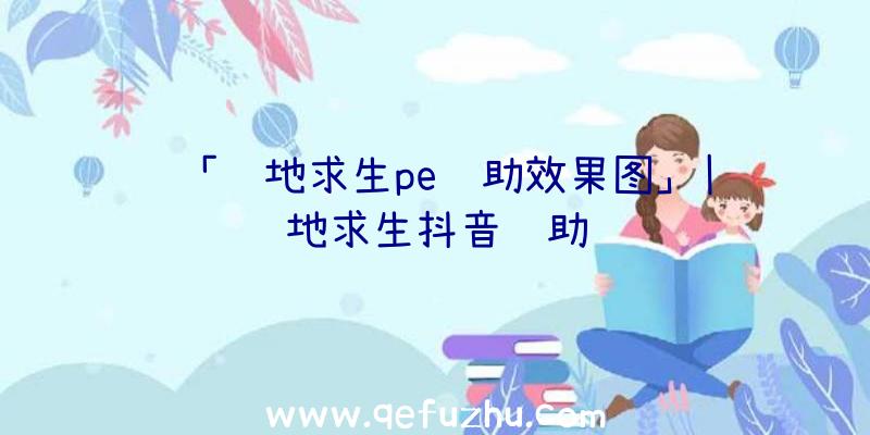 「绝地求生pe辅助效果图」|绝地求生抖音辅助